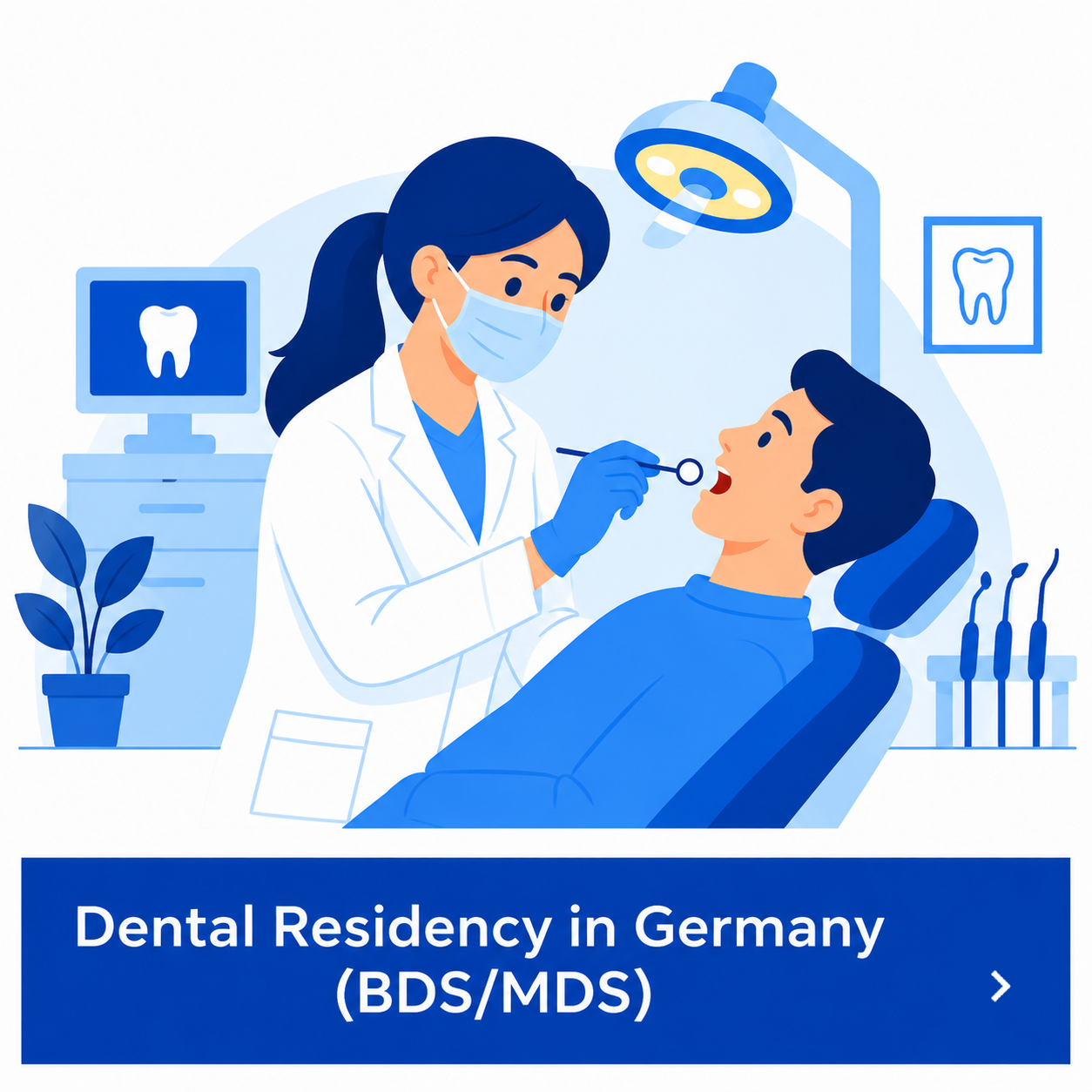 Dentist Program